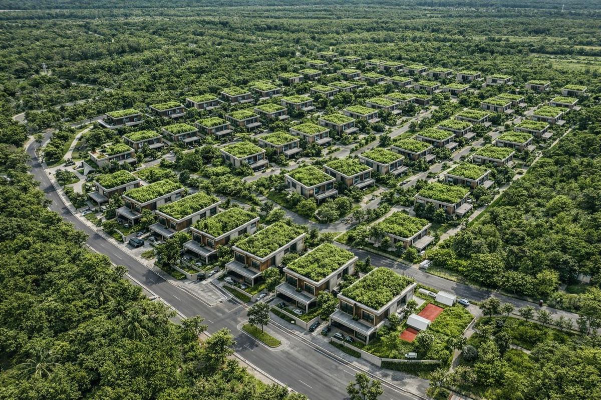 Forest Nation BirthPlace image